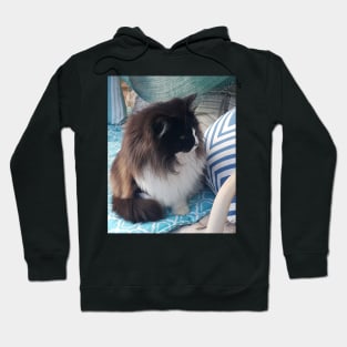 Tuxedo Cat Cute Blue Cats Hoodie